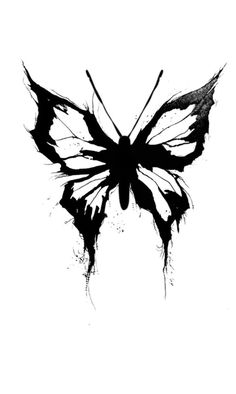 a black and white photo of a butterfly