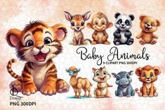 the baby animals clipart bundle