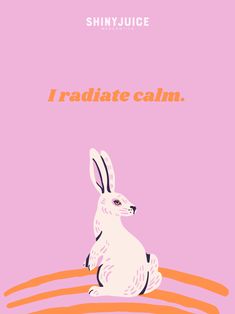 a rabbit sitting on top of an orange and pink background with the words i radiate calm