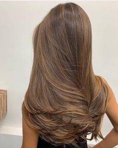 Brown Hair Inspo, Brown Hair Balayage, Healthy Hair Tips, Black Hairstyles, Brown Blonde Hair, Hair Inspiration Color, Hair Inspo Color, Light Hair, Light Brown Hair