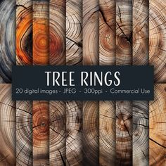 tree rings photoshopped in different colors and sizes