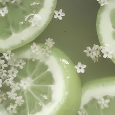 several slices of lemons with white flowers on them are seen in this close up photo