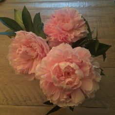 three pink flowers sitting on top of a wooden table