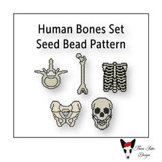 a cross stitch pattern with the words, human bones set seed bead pattern