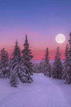 the full moon is setting over some snowy trees and snow - covered ground, with pink skies in the background