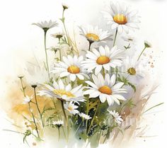 watercolor painting of white daisies in a vase