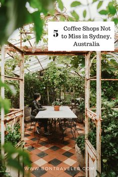 a person sitting at a table in a greenhouse