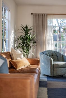 a living room filled with furniture and a potted plant