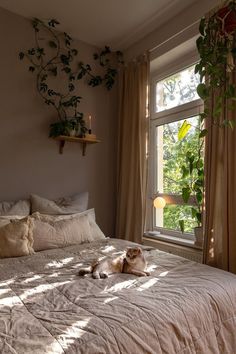 a cat laying on top of a white bed in a bedroom next to a window