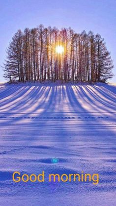 the sun is shining brightly over snow covered ground with trees in the background and words good morning