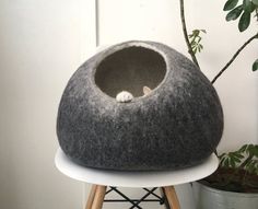 a cat sitting in a grey felt bed on top of a white table next to a potted plant