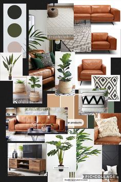 a collage of different types of furniture and decor in shades of brown, green, beige