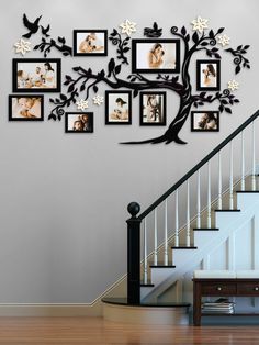 a family tree with six pictures hanging on the wall and stairs in front of it