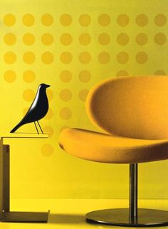 a black bird sitting on top of a yellow chair next to a wall with dots