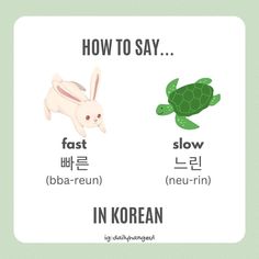 how to say in korean and english with pictures of animals, turtles, and rabbits