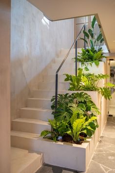 a planter filled with lots of green plants next to a stair case in a house