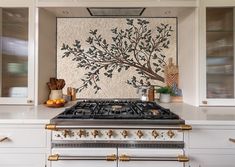 a stove top oven sitting inside of a kitchen next to white cabinets and counter tops