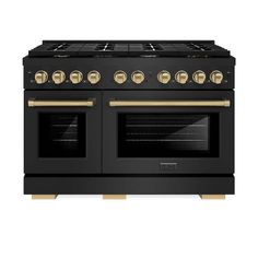 a black oven with gold trim and two burners on the front, and an oven door