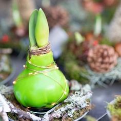 a green vase with some lights on it and pine cones in the backgroud