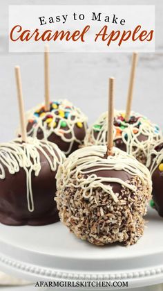 chocolate covered caramel apples on a white plate