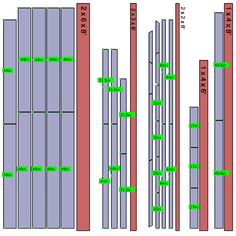 the height and width of two tall buildings, with different sections labeled in green on each side