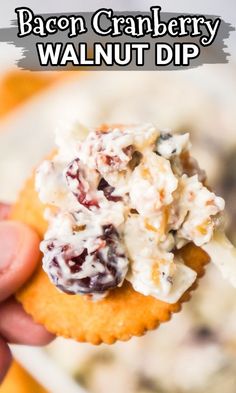 bacon cranberry walnut dip is being held up to the camera with a cracker