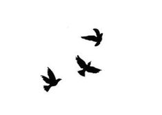 three black birds flying in the sky