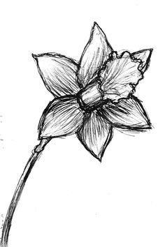 a drawing of a flower on a white background