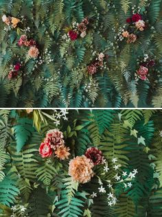 two photographs of flowers and leaves on the same wall, one is green with red and white flowers