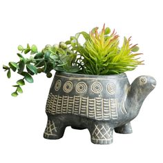 an elephant planter with succulents in it