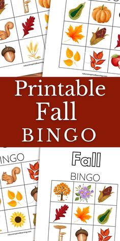 Colorful fall images arranged in grids on bingo cards.  Red rectangle in the middle with text overlay. Fall Bingo Free Printable Preschool, Autumn Bingo Free Printable, Fall Bingo For Kids Free Printable, Fall Games For Preschoolers, Autumn Games For Kids, Fall Bingo Free Printable, Preschool Bingo, Autumn Bingo, Fall Bingo