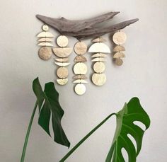 a wall hanging made out of metal discs and wooden discs on a white wall next to a green plant