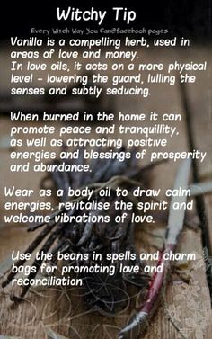 Celtic Witchcraft, Mystical Objects, Magical Plants, Witch Life, Every Witch Way, Witch Spells, Witch Crafts, Witch Tips, Magickal Herbs