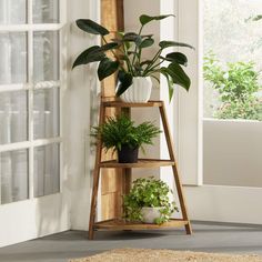 a wooden shelf with plants on it in front of a window and a potted plant