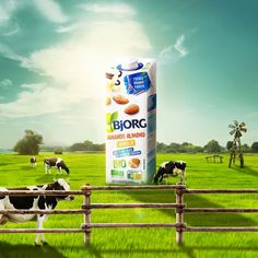 a milk carton sitting on top of a lush green field next to two cows