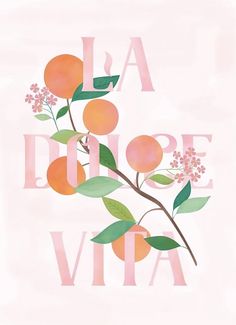 an orange tree branch with flowers and leaves on it that says la dolce vita