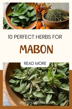 different herbs in wooden bowls with text overlay reading 10 perfect herbs for mabon read more