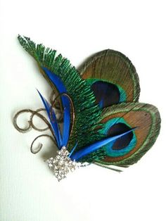 two peacock feathers with some scissors on top of each other and one has a crystal brooch