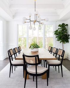 a dining room table with chairs and a potted plant in the middle of it