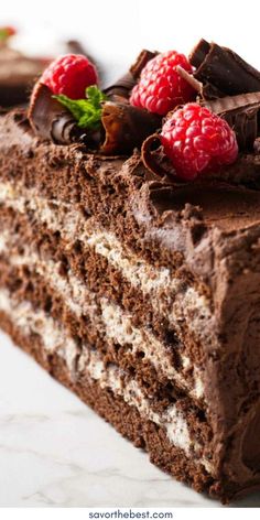 a piece of chocolate cake with raspberries on top