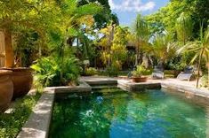 an outdoor swimming pool surrounded by trees and plants