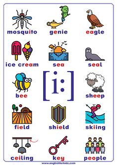 Poster featuring long E sound words Long E Sound Words, E Sound Words, Phonetics For Kids, Ipa Phonetics, Long E Sound, English Phonetics, Phonics Sounds Chart, Reading Games For Kids, Phonics Chart