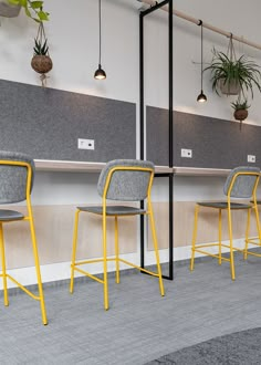 three yellow and gray chairs are in front of a row of shelves with plants on them