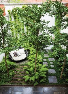 an outdoor seating area surrounded by trees and plants