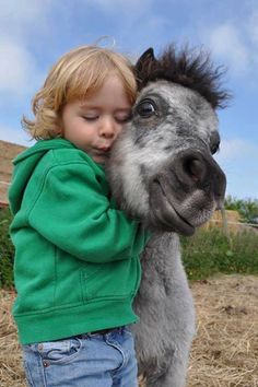 Kiss Miniature Horse, Horse Love, A Horse, Beautiful Horses, Cuteness Overload, Animals For Kids