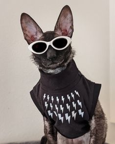 a cat wearing sunglasses and a t - shirt with lightning print on it's chest