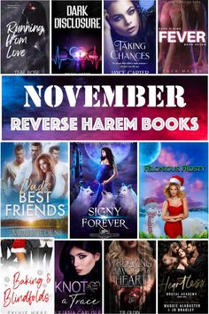 the cover for november release book series