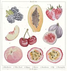 an illustration of various fruits and vegetables