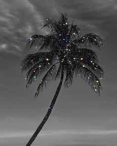 a black and white photo of a palm tree with lights on it's branches