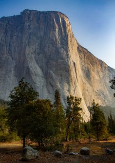 a large mountain towering over a forest filled with lots of trees and rocks in the foreground